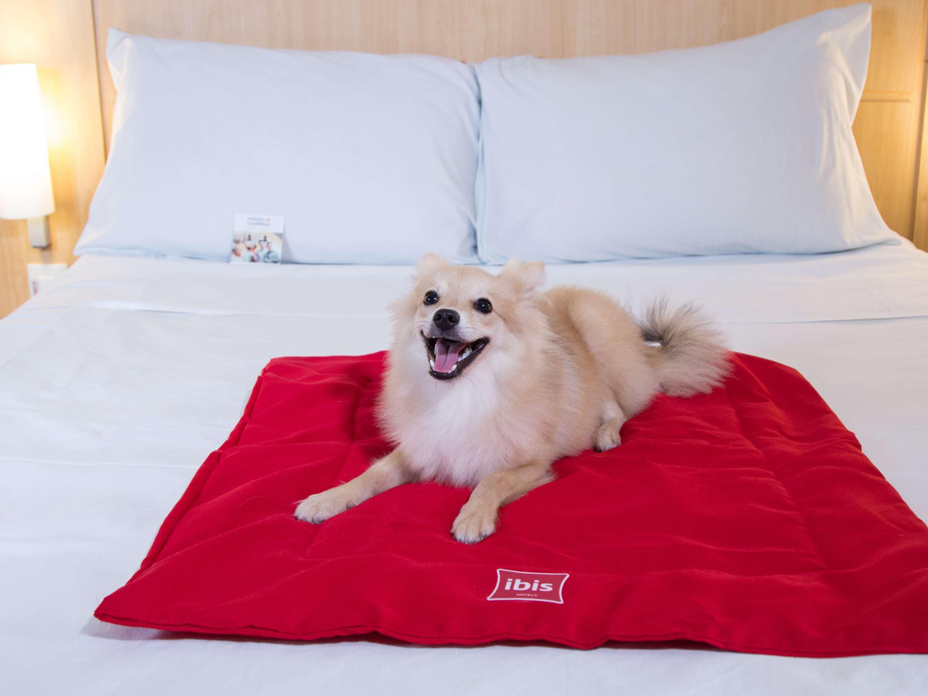 Ibis Maceio Pajucara Hotel Екстериор снимка